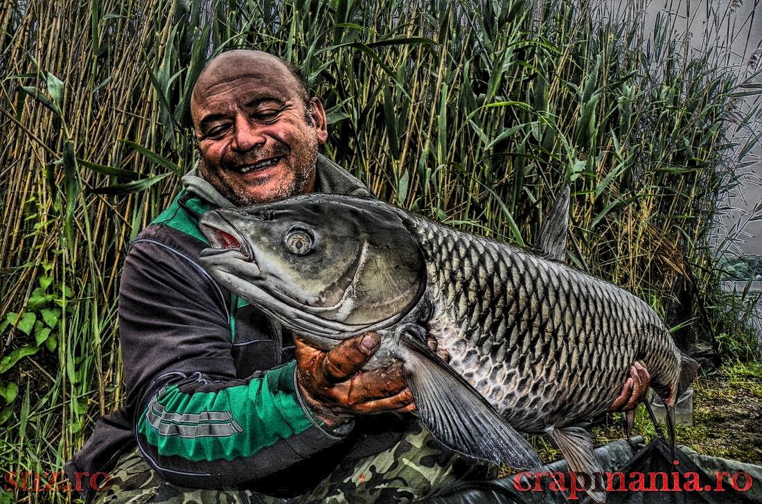 Crapmania (2) - 2013 - 1010388-2hdrmode2.JPG